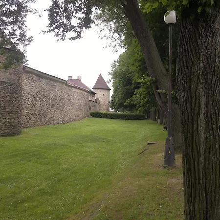Pensjonat Ubytovani Fortna 3*