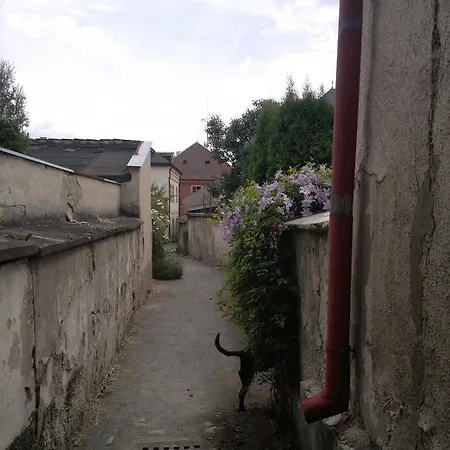 Pensjonat Ubytovani Fortna Polička